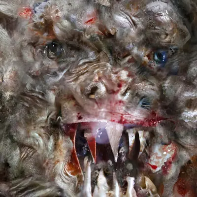 Werewolf!