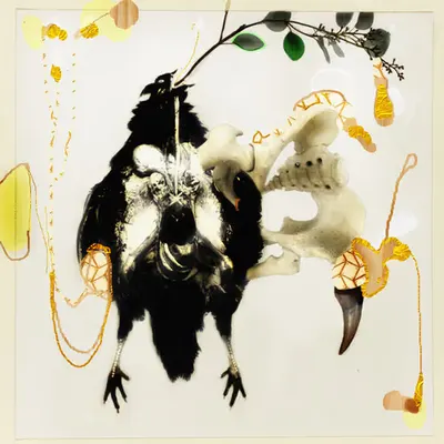 Untitled 5 or The Anatomy of a Bird (From The Fragments Serie)