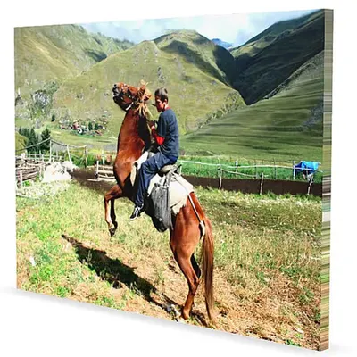 Horse Boy 3D