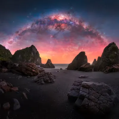 The Way
