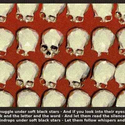 39 Skulls in a Metal Box with a Red Plane