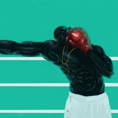 The Boxer