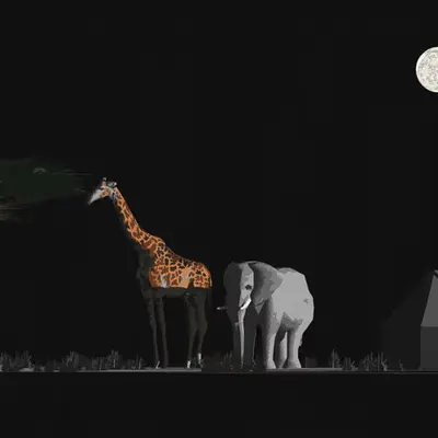Happy Safari: Starry Night