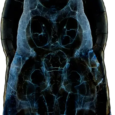 Stele Palingenesis