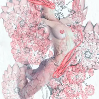 Erotic Blooms