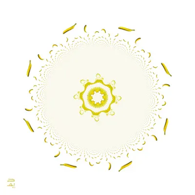 The Trillion Dollar Mandala (2019)