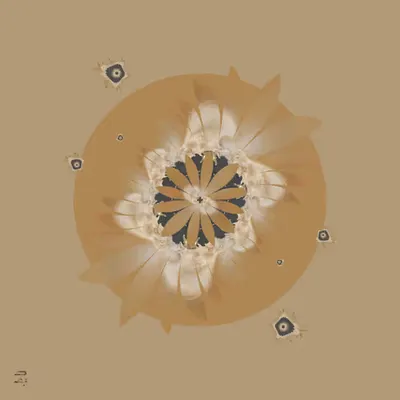 Fleurs d'Ivoire (2019)