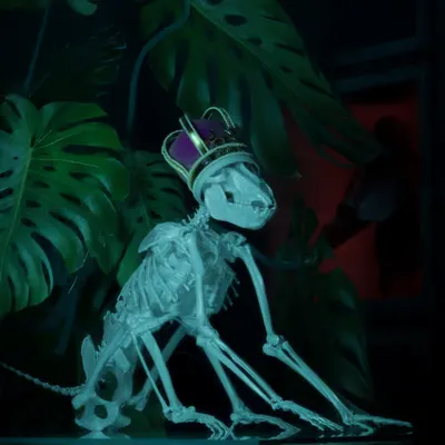 (..) they told me it was nothing - (2019)