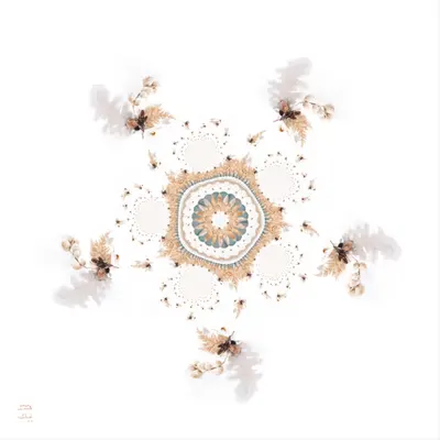Wintry Mandala (2019)