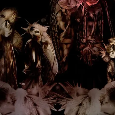 Ancient Feather Clan