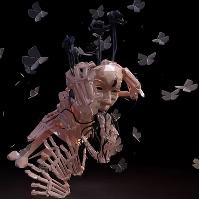 Skin, Bones and Moths.