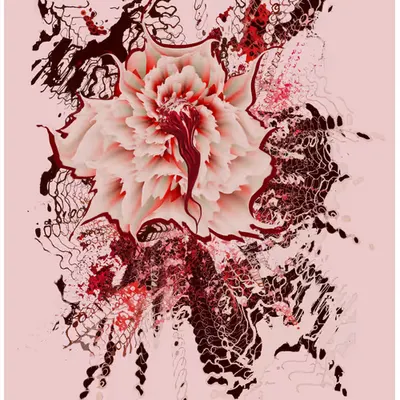 Strawberry Dreams
