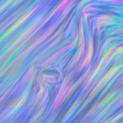 Homo electronicus