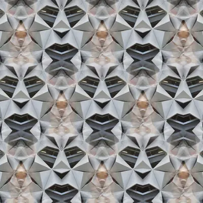 Architecting the Face