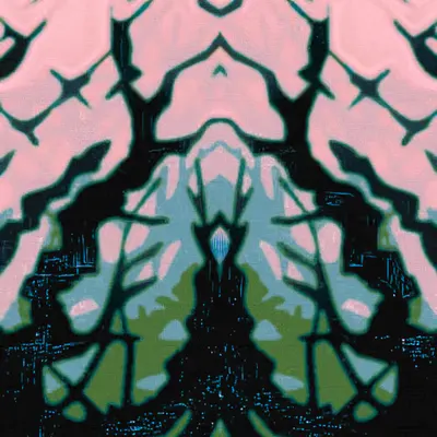 A shadow in the woods
