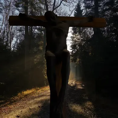 Druid CROSS IT (Distance Series)
