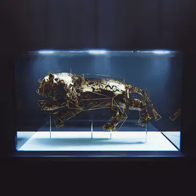 Caged - Tiger