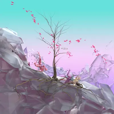 Momentum 