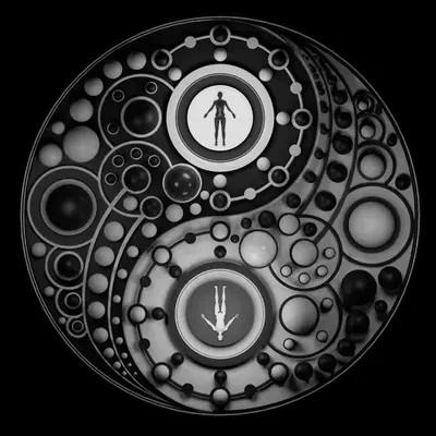 Taijitu (1/3)