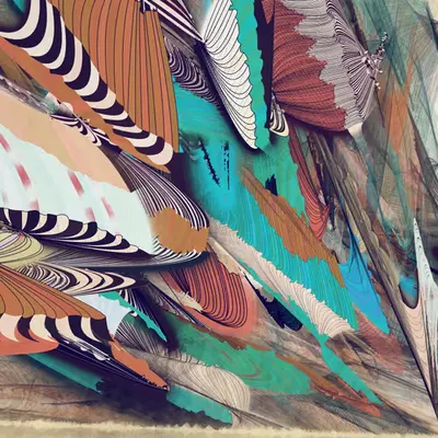 Wonderland Entropy