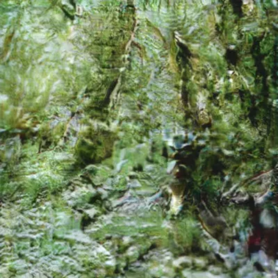 Untitled Film Still 3.2