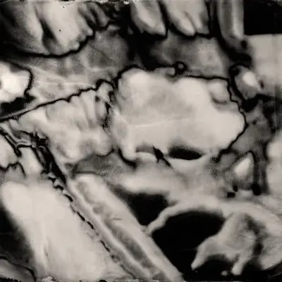 Primordial #3