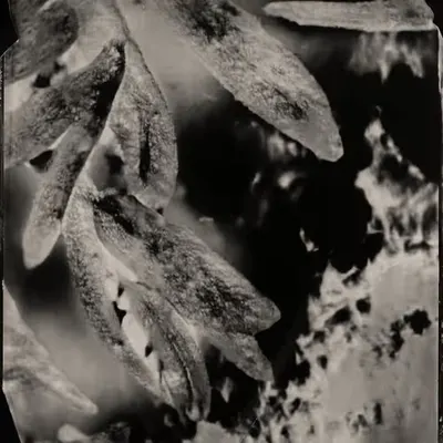 Technical Image #6