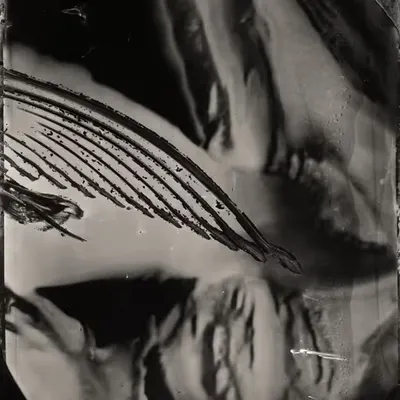 Technical Image #4