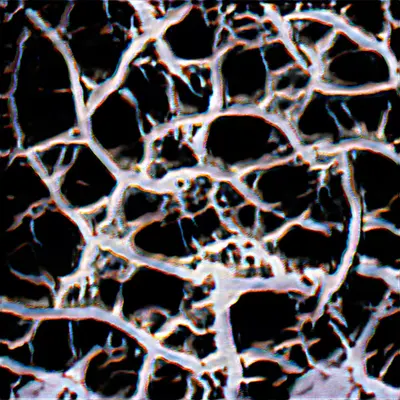 Amplified Technical Image #1