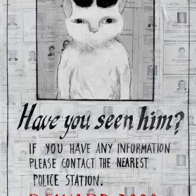 Have you seen him?