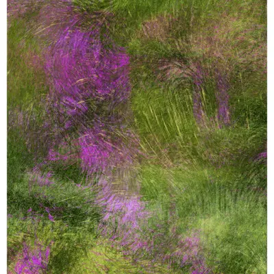 Scents of Spring #19