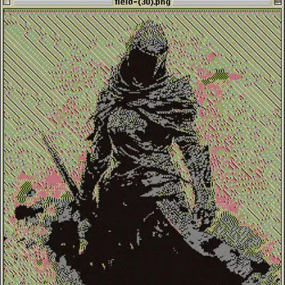 field-(30).png