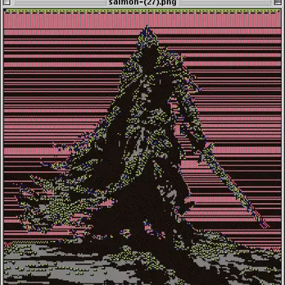 salmon-(27).png