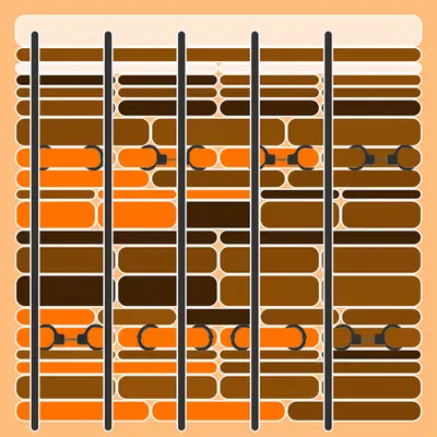 Incarceracism #100