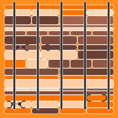 Incarceracism #14