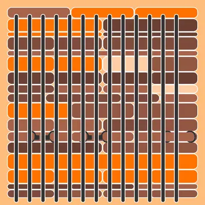 Incarceracism #17