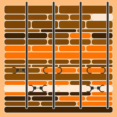 Incarceracism #31