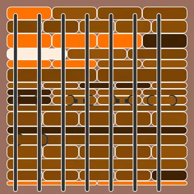 Incarceracism #32
