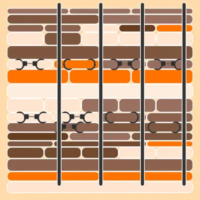 Incarceracism #41