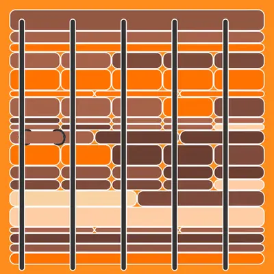 Incarceracism #51
