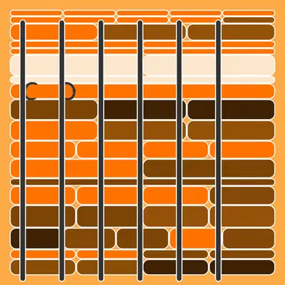 Incarceracism #55