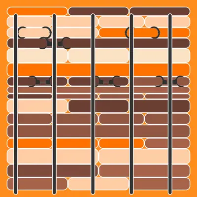 Incarceracism #56