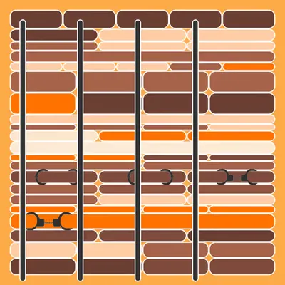 Incarceracism #57