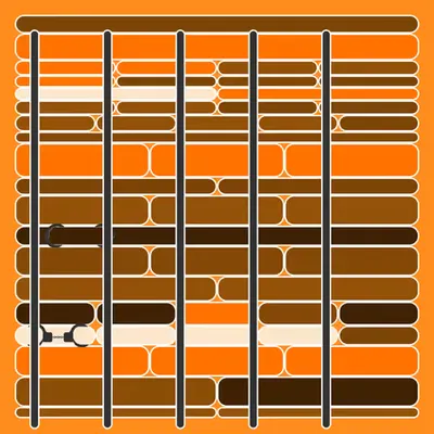 Incarceracism #59