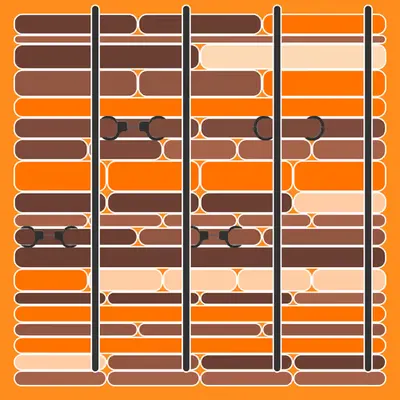 Incarceracism #62