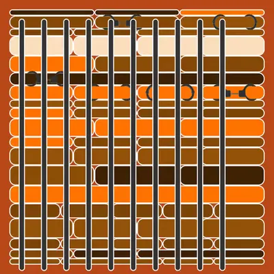 Incarceracism #63