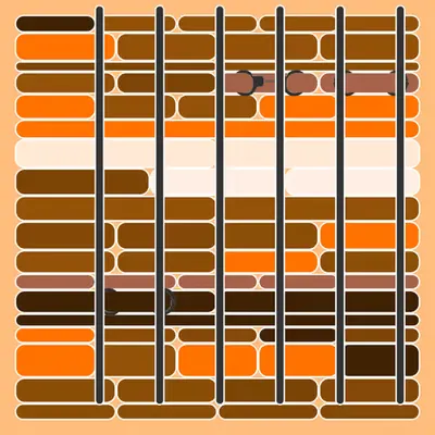Incarceracism #66