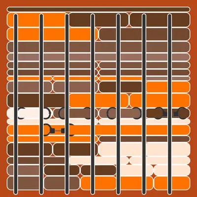 Incarceracism #71