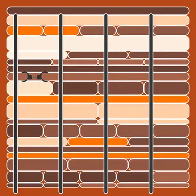 Incarceracism #76