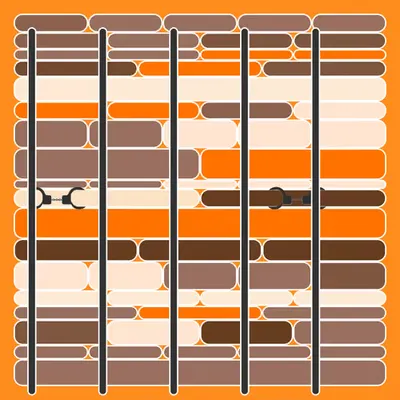 Incarceracism #78